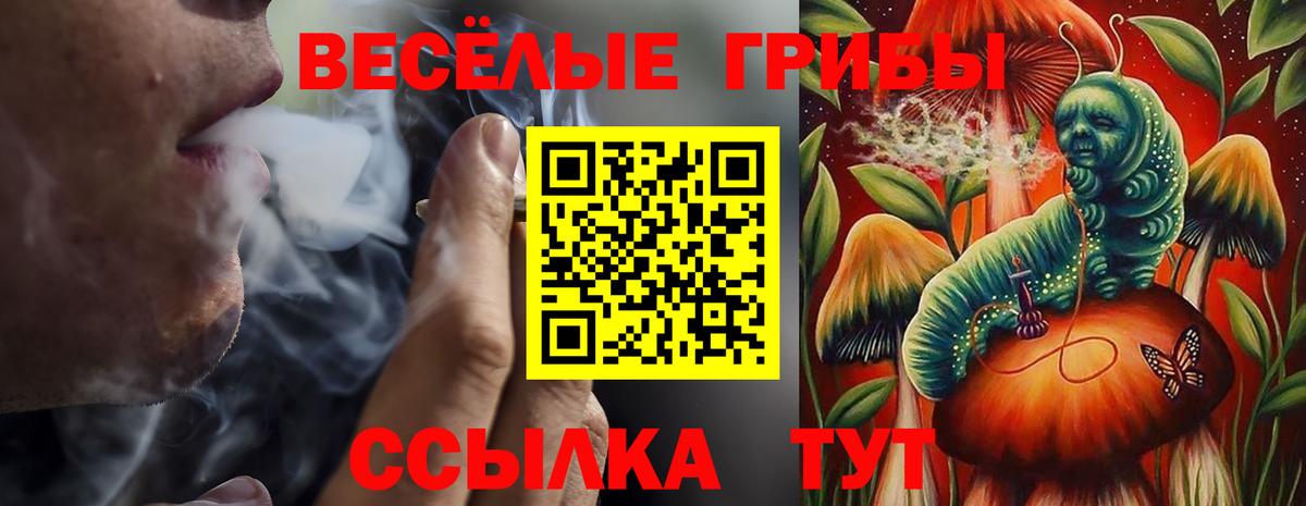 Псилоцибиновые грибы мицелий Феодосия