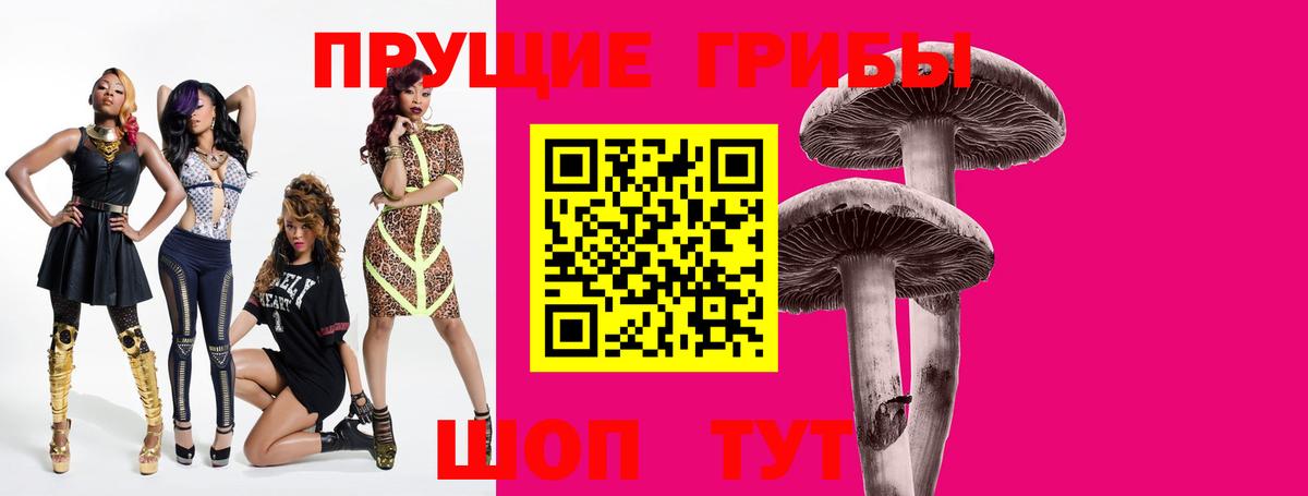 Псилоцибиновые грибы Psilocybe  Вход с VPN  Феодосия 